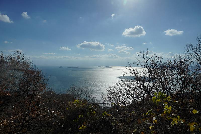 DSC08129-s