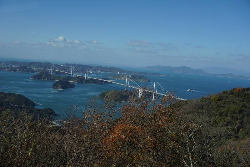 DSC08145-s