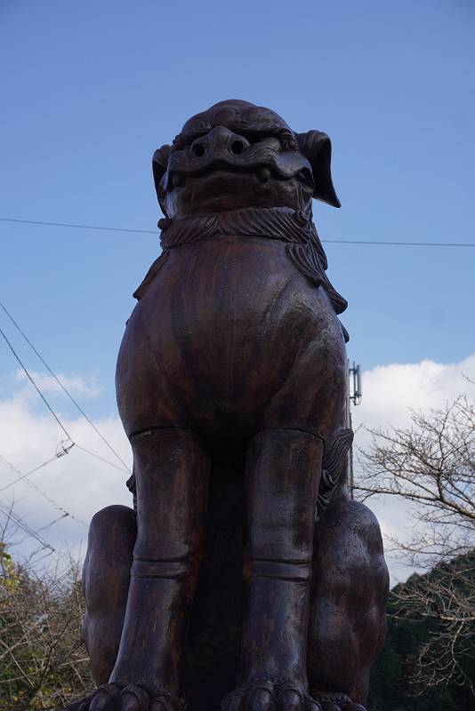 DSC08357-s