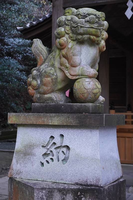 DSC08396-s