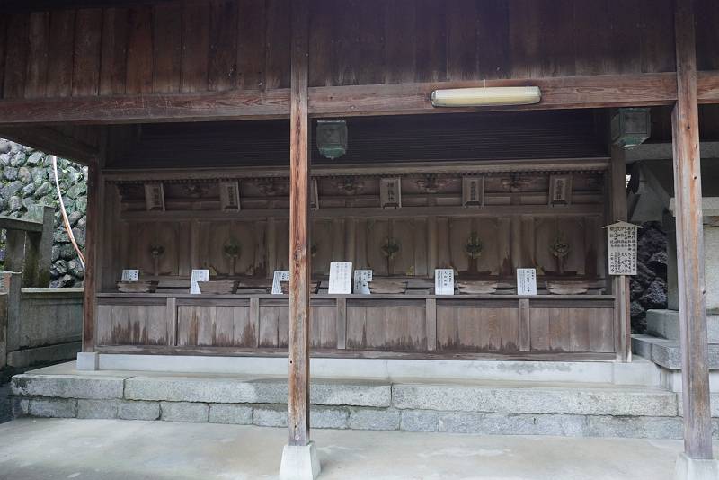 DSC08419-s
