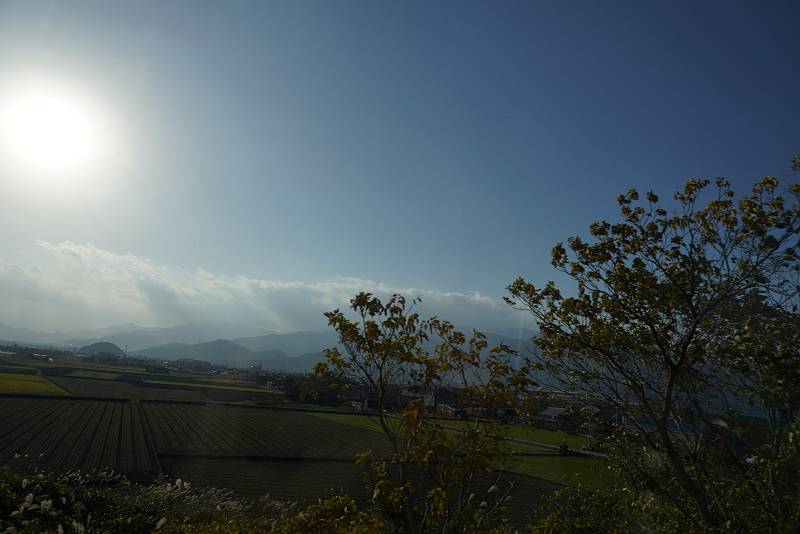 DSC08447-s