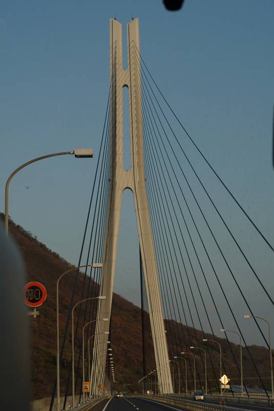 DSC08526-s