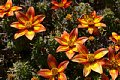 html/DSC08204-s.html