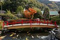 html/DSC08329-s.html
