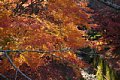 html/DSC08345-s.html