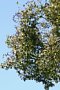 html/DSC08445-s.html