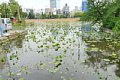html/K7409052-s.html