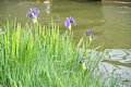 html/K7409057-s.html