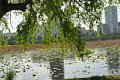 html/K7409175-s.html